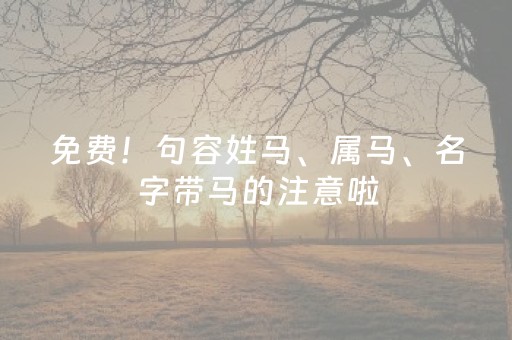免费！句容姓马、属马、名字带马的注意啦
