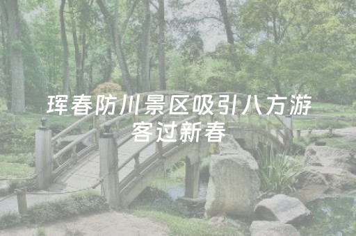 珲春防川景区吸引八方游客过新春