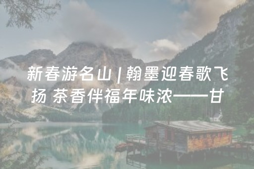 新春游名山 | 翰墨迎春歌飞扬 茶香伴福年味浓——甘露坊新春系列活动精彩不断