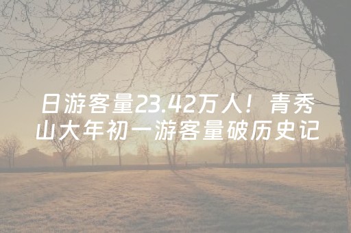 日游客量23.42万人！青秀山大年初一游客量破历史记录！