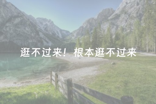 逛不过来！根本逛不过来