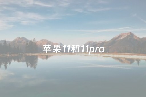 苹果11和11pro（苹果11和11promax的手机壳一样吗）
