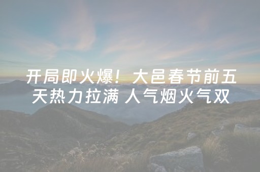 开局即火爆！大邑春节前五天热力拉满 人气烟火气双在线