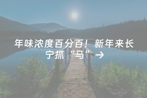 年味浓度百分百！新年来长宁抓“马”→