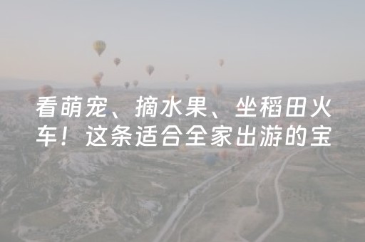 看萌宠、摘水果、坐稻田火车！这条适合全家出游的宝藏攻略请收好丨请到三水过大年