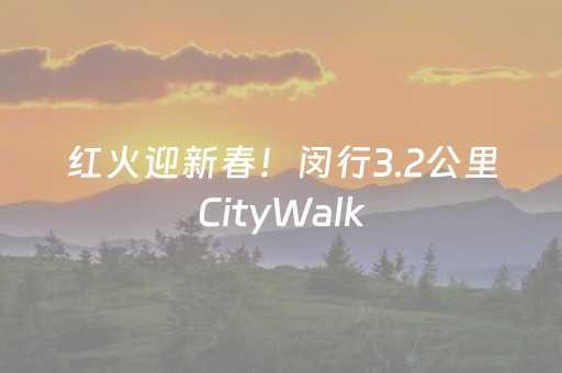 红火迎新春！闵行3.2公里CityWalk，400多件作品陪你漫步“年味”风景
