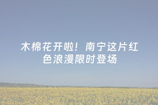 木棉花开啦！南宁这片红色浪漫限时登场