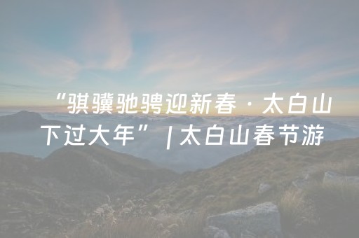 “骐骥驰骋迎新春 · 太白山下过大年” | 太白山春节游圆满收官