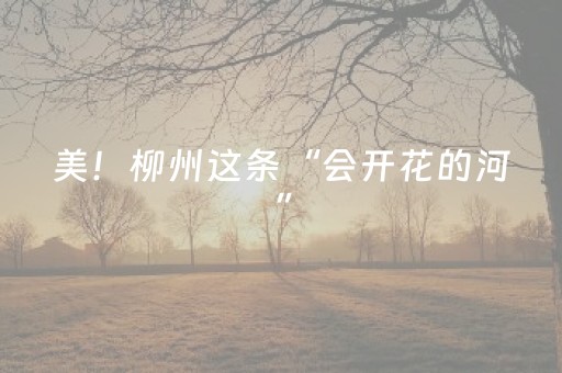 美！柳州这条“会开花的河”，进入观赏期！