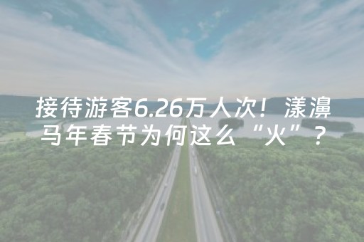接待游客6.26万人次！漾濞马年春节为何这么“火”？