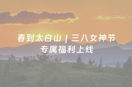 春到太白山｜三八女神节专属福利上线，邂逅羚牛与漫山花开