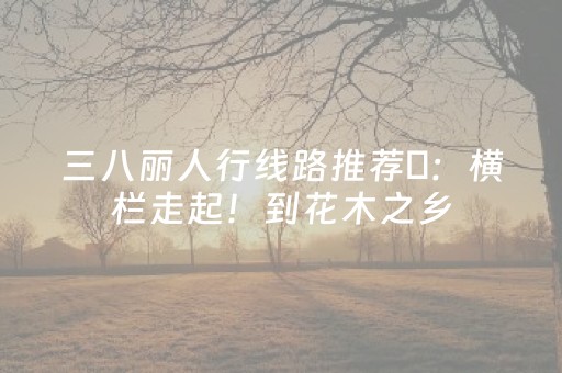 三八丽人行线路推荐⑪：横栏走起！到花木之乡，赏花探古吃美食→