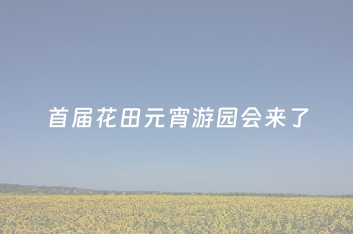 首届花田元宵游园会来了，邀您闹元宵！