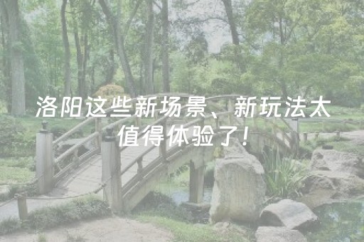 洛阳这些新场景、新玩法太值得体验了！