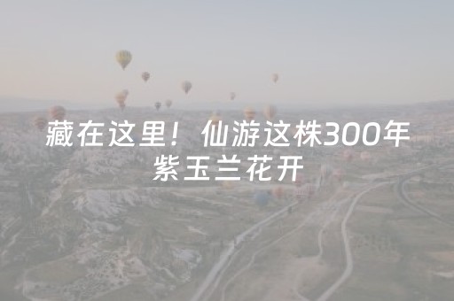 藏在这里！仙游这株300年紫玉兰花开，一眼沦陷！