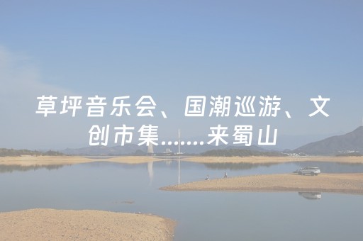 草坪音乐会、国潮巡游、文创市集.......来蜀山，欢乐闹元宵！