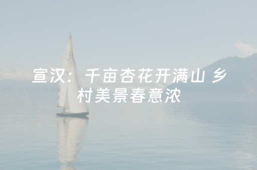 宣汉：千亩杏花开满山 乡村美景春意浓