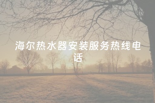 海尔热水器安装服务热线电话（海尔电热水器售后安装电话）