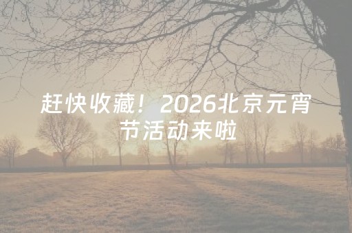 赶快收藏！2026北京元宵节活动来啦