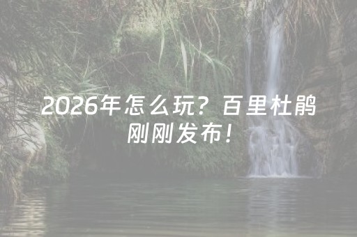 2026年怎么玩？百里杜鹃刚刚发布！