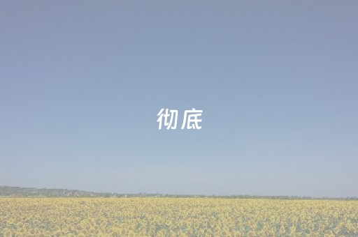 彻底（彻底的拼音）