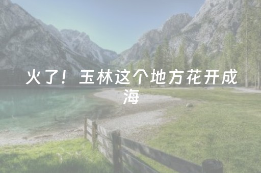 火了！玉林这个地方花开成海，美成童话！很多人慕名打卡