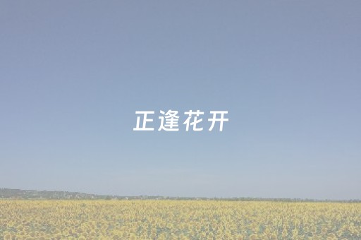 正逢花开，与春有约！一键解锁钦州的“花花世界”