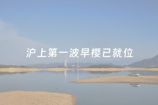 沪上第一波早樱已就位，“大宁限定”花景仅此一周别错过！更有手机出片技巧直接抄→