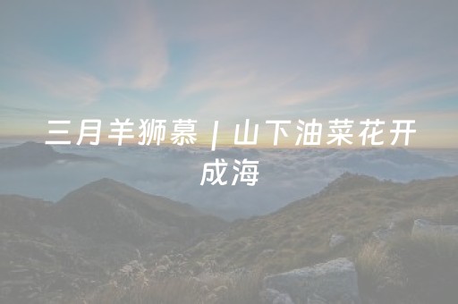 三月羊狮慕｜山下油菜花开成海，山上云海美如仙境（文末有免票福利）