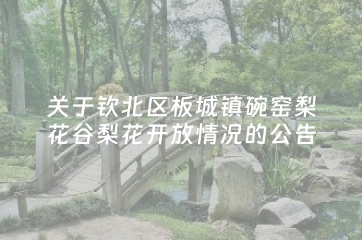关于钦北区板城镇碗窑梨花谷梨花开放情况的公告