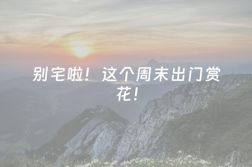 别宅啦！这个周末出门赏花！