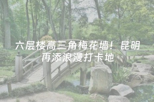 六层楼高三角梅花墙！昆明再添浪漫打卡地