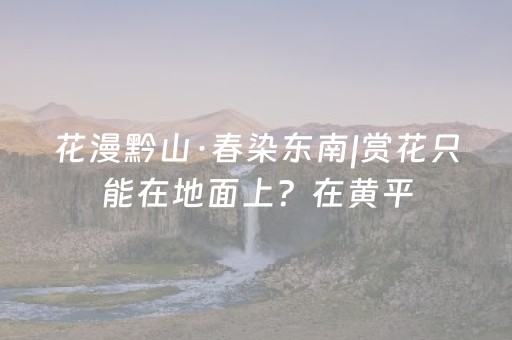 花漫黔山·春染东南|赏花只能在地面上？在黄平，你可以“飞”起来看！