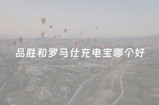 品胜和罗马仕充电宝哪个好（十大充电宝排名最新）