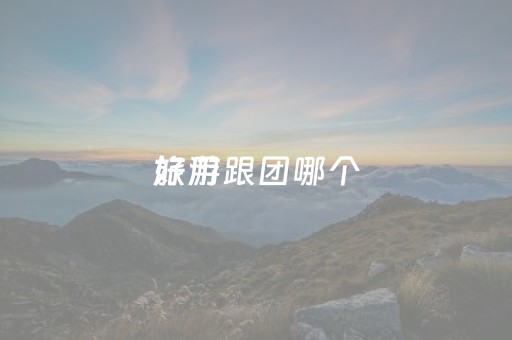 旅游跟团哪个
好用（旅游跟团用什么
）