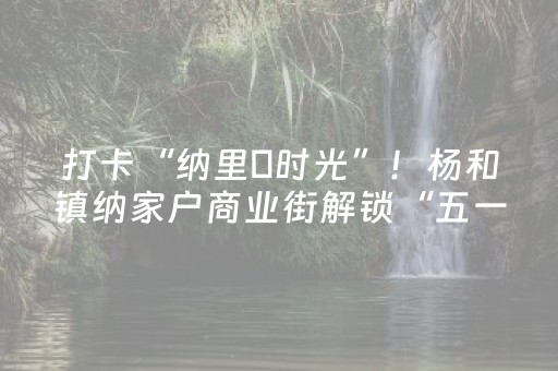 打卡“纳里・时光”！杨和镇纳家户商业街解锁“五一”假日新玩法