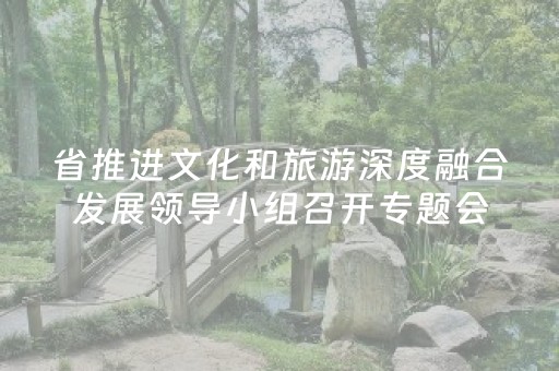 省推进文化和旅游深度融合发展领导小组召开专题会议 推动文旅深度融合发展部署要求落地见效
