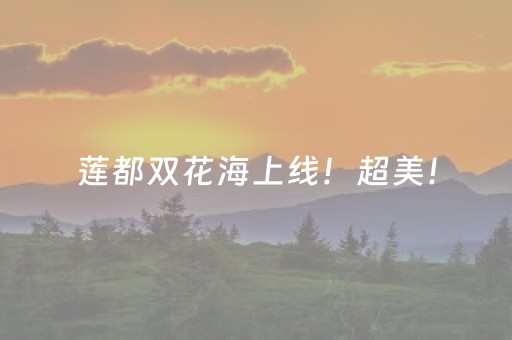 莲都双花海上线！超美！