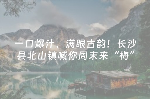 一口爆汁、满眼古韵！长沙县北山镇喊你周末来“梅”好游园