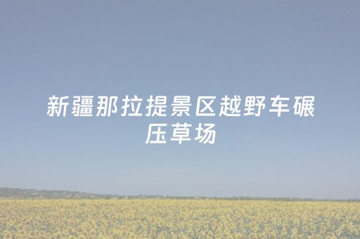 新疆那拉提景区越野车碾压草场，官方及时通报为何没能平息舆论