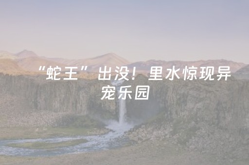 “蛇王”出没！里水惊现异宠乐园，比撸猫狗更上头！