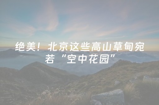 绝美！北京这些高山草甸宛若“空中花园”