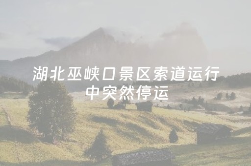 湖北巫峡口景区索道运行中突然停运，致吊厢悬停半空，游客表示“腿发抖”！当地文旅局回应