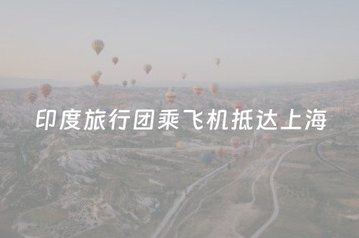 印度旅行团乘飞机抵达上海，刚下飞机那一刻，全团众人傻眼！