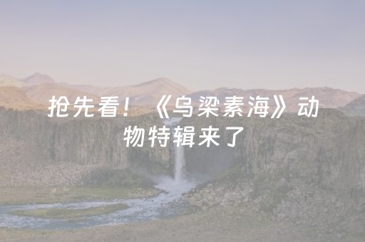 抢先看！《乌梁素海》动物特辑来了