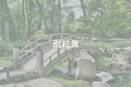别拦我，我要去里水河村