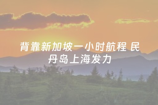 背靠新加坡一小时航程 民丹岛上海发力，瞄准中国高端海岛客群