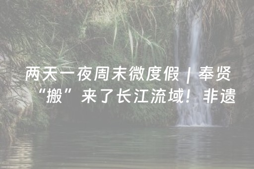 两天一夜周末微度假｜奉贤“搬”来了长江流域！非遗市集、乾隆特展、手作瓷器全解锁