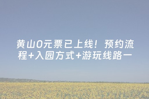 黄山0元票已上线！预约流程+入园方式+游玩线路一篇搞定