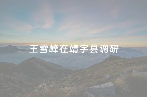 王雪峰在靖宇县调研